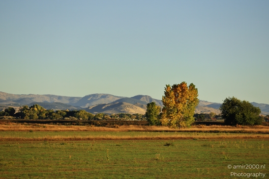 Field_View_Around_Denver_Colorado_USA_Western_USA_Nature_Photography_Canon_EOS_R5_Mark_II_2025_001.JPG
