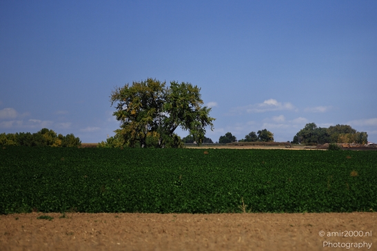 Fields_Around_Denver_Colorado_USA_Western_USA_Nature_Photography_Canon_EOS_R5_Mark_II_2025_003.JPG