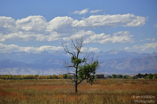 Fields_Around_Denver_Colorado_USA_Western_USA_Nature_Photography_Canon_EOS_R5_Mark_II_2025_006.JPG