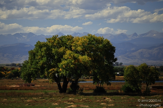 Fields_Around_Denver_Colorado_USA_Western_USA_Nature_Photography_Canon_EOS_R5_Mark_II_2025_007.JPG