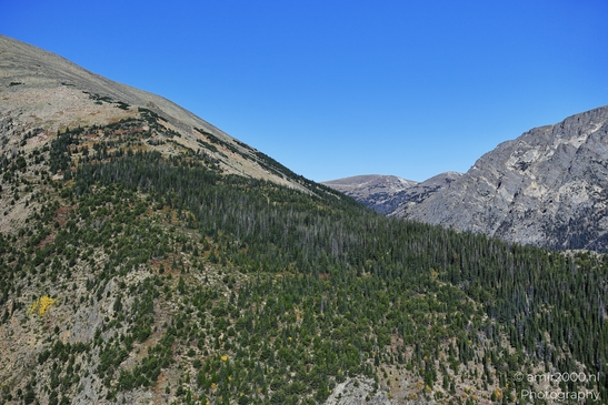 Forest_Canyon_Overlook_Rocky_Mountain_National_Park_Colorado_Western_USA_Nature_Photography_Canon_EOS_R5_Mark_II_2025_001.JPG