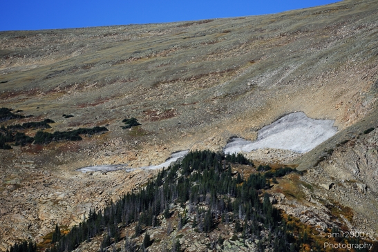 Forest_Canyon_Overlook_Rocky_Mountain_National_Park_Colorado_Western_USA_Nature_Photography_Canon_EOS_R5_Mark_II_2025_003.JPG