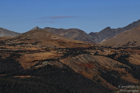 Forest_Canyon_Overlook_Rocky_Mountain_National_Park_Colorado_Western_USA_Nature_Photography_Canon_EOS_R5_Mark_II_2025_018.JPG