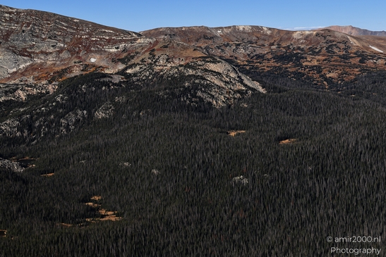 Forest_Canyon_Overlook_Rocky_Mountain_National_Park_Colorado_Western_USA_Nature_Photography_Canon_EOS_R5_Mark_II_2025_020.JPG