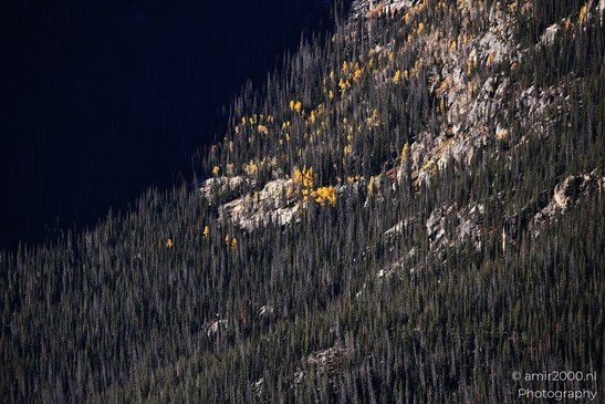 Forest_Canyon_Overlook_Rocky_Mountain_National_Park_Colorado_Western_USA_Nature_Photography_Canon_EOS_R5_Mark_II_2025_022.JPG