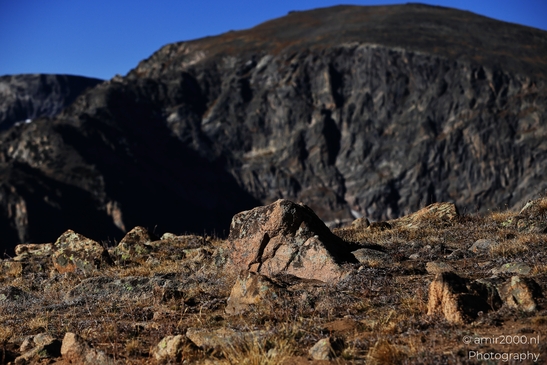 Forest_Canyon_Overlook_Rocky_Mountain_National_Park_Colorado_Western_USA_Nature_Photography_Canon_EOS_R5_Mark_II_2025_033.JPG