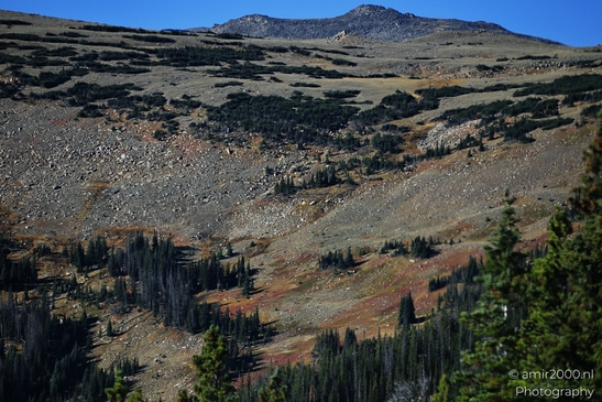 Forest_Canyon_Overlook_Rocky_Mountain_National_Park_Colorado_Western_USA_Nature_Photography_Canon_EOS_R5_Mark_II_2025_054.JPG