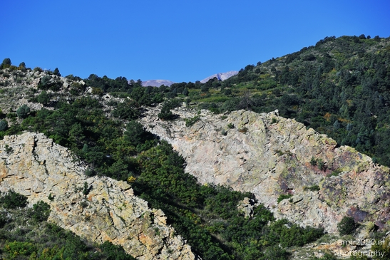 Garden_of_the_Gods_Park_Natural_Sculptures_Colorado_Springs_Colorado_USA_Western_USA_Nature_Photography_Canon_EOS_R5_Mark_II_2025_001.JPG
