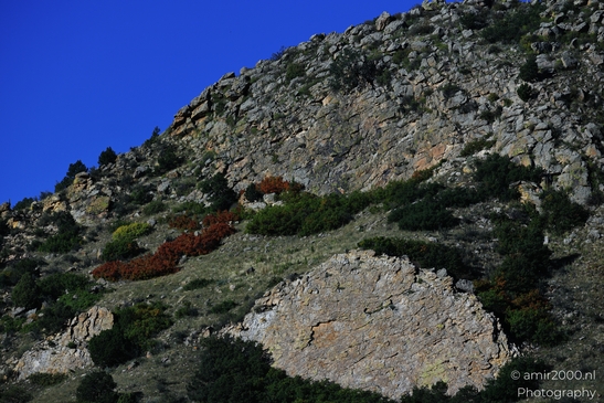 Garden_of_the_Gods_Park_Natural_Sculptures_Colorado_Springs_Colorado_USA_Western_USA_Nature_Photography_Canon_EOS_R5_Mark_II_2025_002.JPG