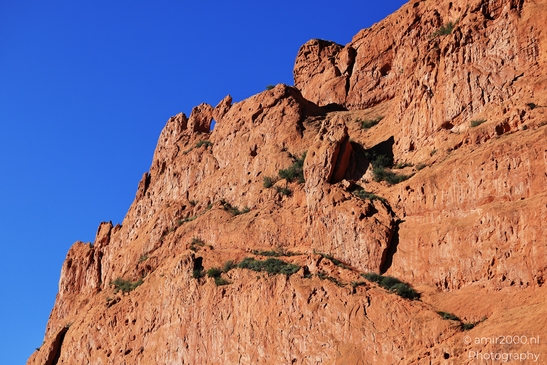 Garden_of_the_Gods_Park_Natural_Sculptures_Colorado_Springs_Colorado_USA_Western_USA_Nature_Photography_Canon_EOS_R5_Mark_II_2025_011.JPG