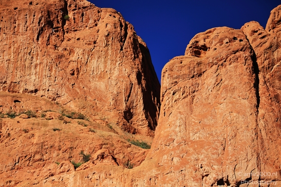 Garden_of_the_Gods_Park_Natural_Sculptures_Colorado_Springs_Colorado_USA_Western_USA_Nature_Photography_Canon_EOS_R5_Mark_II_2025_019.JPG