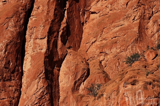 Garden_of_the_Gods_Park_Natural_Sculptures_Colorado_Springs_Colorado_USA_Western_USA_Nature_Photography_Canon_EOS_R5_Mark_II_2025_029.JPG