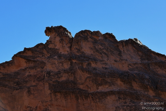 Garden_of_the_Gods_Park_Natural_Sculptures_Colorado_Springs_Colorado_USA_Western_USA_Nature_Photography_Canon_EOS_R5_Mark_II_2025_033.JPG