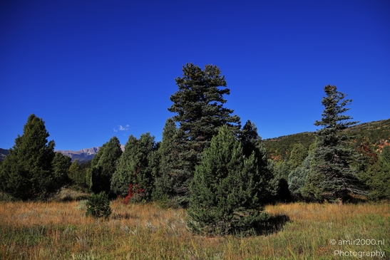 Garden_of_the_Gods_Park_Natural_Sculptures_Colorado_Springs_Colorado_USA_Western_USA_Nature_Photography_Canon_EOS_R5_Mark_II_2025_043.JPG