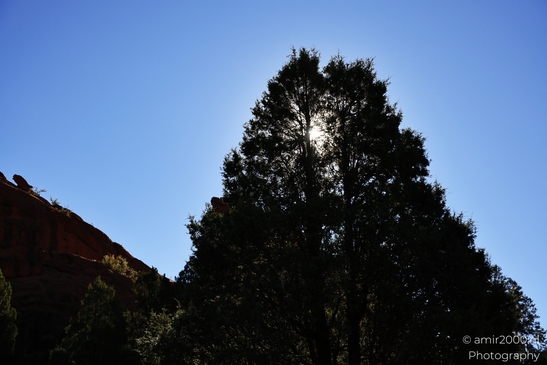 Garden_of_the_Gods_Park_Natural_Sculptures_Colorado_Springs_Colorado_USA_Western_USA_Nature_Photography_Canon_EOS_R5_Mark_II_2025_046.JPG