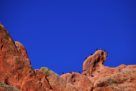 Garden_of_the_Gods_Park_Natural_Sculptures_Colorado_Springs_Colorado_USA_Western_USA_Nature_Photography_Canon_EOS_R5_Mark_II_2025_052.JPG