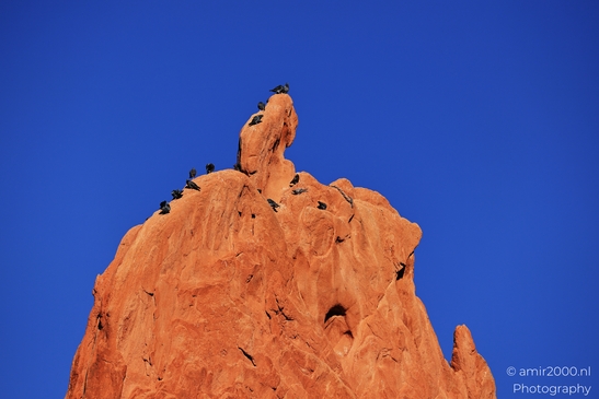 Garden_of_the_Gods_Park_Natural_Sculptures_Colorado_Springs_Colorado_USA_Western_USA_Nature_Photography_Canon_EOS_R5_Mark_II_2025_056.JPG