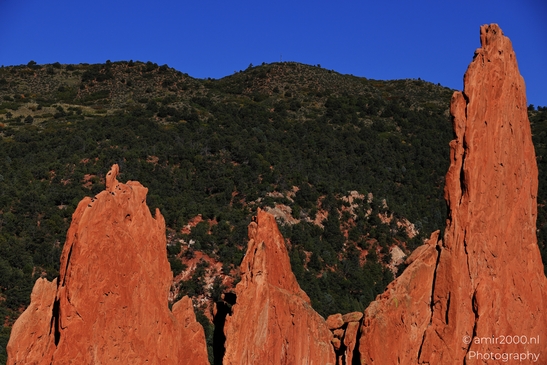 Garden_of_the_Gods_Park_Natural_Sculptures_Colorado_Springs_Colorado_USA_Western_USA_Nature_Photography_Canon_EOS_R5_Mark_II_2025_058.JPG
