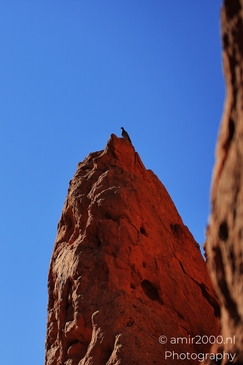 Garden_of_the_Gods_Park_Natural_Sculptures_Colorado_Springs_Colorado_USA_Western_USA_Nature_Photography_Canon_EOS_R5_Mark_II_2025_071.JPG