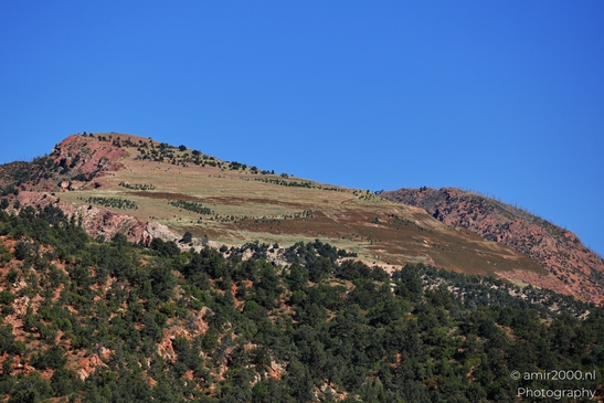 Garden_of_the_Gods_Park_Natural_Sculptures_Colorado_Springs_Colorado_USA_Western_USA_Nature_Photography_Canon_EOS_R5_Mark_II_2025_077.JPG