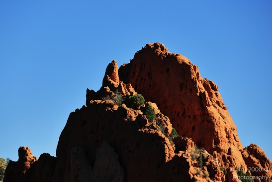 Garden_of_the_Gods_Park_Natural_Sculptures_Colorado_Springs_Colorado_USA_Western_USA_Nature_Photography_Canon_EOS_R5_Mark_II_2025_083.JPG
