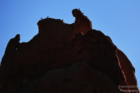 Garden_of_the_Gods_Park_Natural_Sculptures_Colorado_Springs_Colorado_USA_Western_USA_Nature_Photography_Canon_EOS_R5_Mark_II_2025_091.JPG