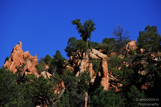Garden_of_the_Gods_Park_Natural_Sculptures_Colorado_Springs_Colorado_USA_Western_USA_Nature_Photography_Canon_EOS_R5_Mark_II_2025_105.JPG