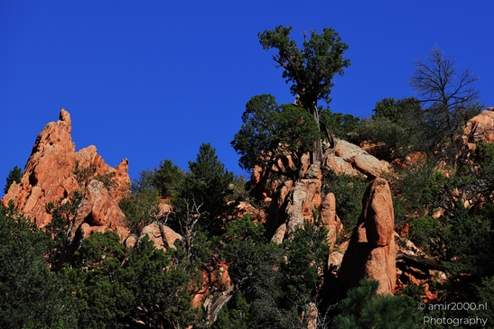 Garden_of_the_Gods_Park_Natural_Sculptures_Colorado_Springs_Colorado_USA_Western_USA_Nature_Photography_Canon_EOS_R5_Mark_II_2025_106.JPG