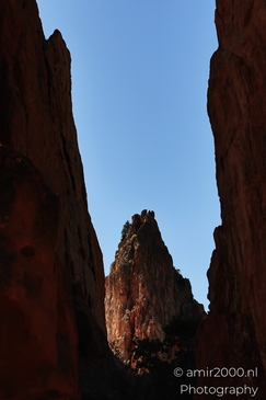 Garden_of_the_Gods_Park_Natural_Sculptures_Colorado_Springs_Colorado_USA_Western_USA_Nature_Photography_Canon_EOS_R5_Mark_II_2025_109.JPG