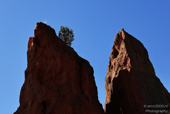 Garden_of_the_Gods_Park_Natural_Sculptures_Colorado_Springs_Colorado_USA_Western_USA_Nature_Photography_Canon_EOS_R5_Mark_II_2025_110.JPG