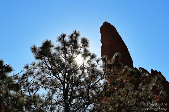 Garden_of_the_Gods_Park_Natural_Sculptures_Colorado_Springs_Colorado_USA_Western_USA_Nature_Photography_Canon_EOS_R5_Mark_II_2025_111.JPG
