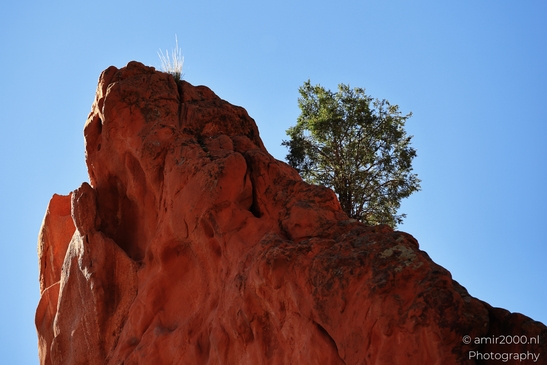 Garden_of_the_Gods_Park_Natural_Sculptures_Colorado_Springs_Colorado_USA_Western_USA_Nature_Photography_Canon_EOS_R5_Mark_II_2025_112.JPG