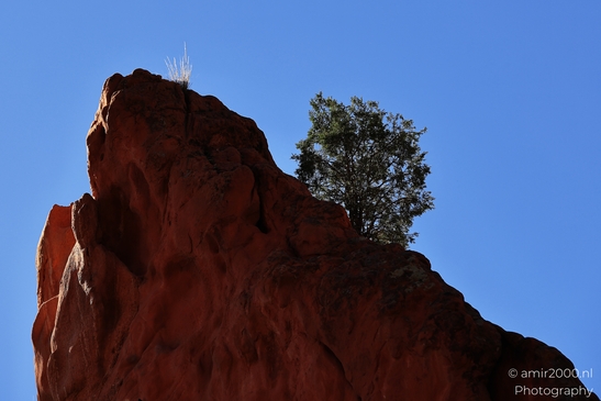 Garden_of_the_Gods_Park_Natural_Sculptures_Colorado_Springs_Colorado_USA_Western_USA_Nature_Photography_Canon_EOS_R5_Mark_II_2025_113.JPG