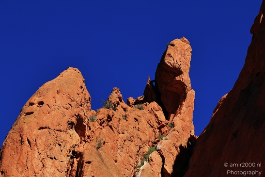 Garden_of_the_Gods_Park_Natural_Sculptures_Colorado_Springs_Colorado_USA_Western_USA_Nature_Photography_Canon_EOS_R5_Mark_II_2025_115.JPG