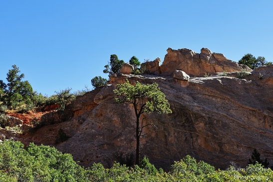 Garden_of_the_Gods_Park_Natural_Sculptures_Colorado_Springs_Colorado_USA_Western_USA_Nature_Photography_Canon_EOS_R5_Mark_II_2025_116.JPG