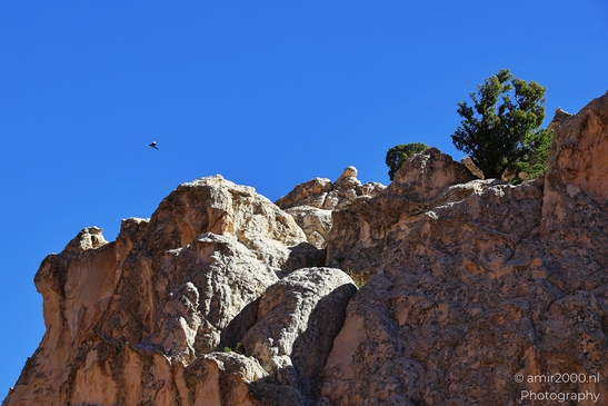 Garden_of_the_Gods_Park_Natural_Sculptures_Colorado_Springs_Colorado_USA_Western_USA_Nature_Photography_Canon_EOS_R5_Mark_II_2025_117.JPG