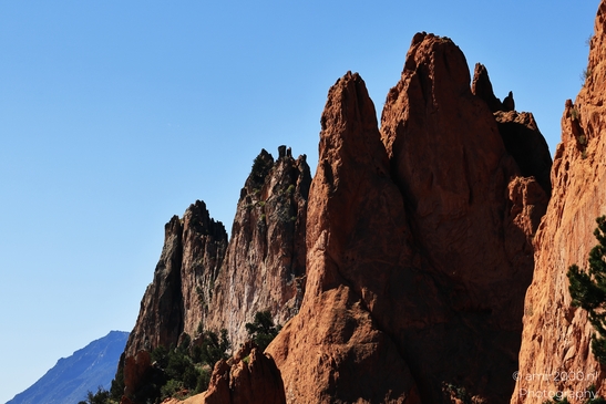 Garden_of_the_Gods_Park_Natural_Sculptures_Colorado_Springs_Colorado_USA_Western_USA_Nature_Photography_Canon_EOS_R5_Mark_II_2025_118.JPG