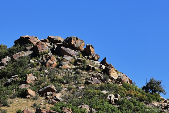 Garden_of_the_Gods_Park_Natural_Sculptures_Colorado_Springs_Colorado_USA_Western_USA_Nature_Photography_Canon_EOS_R5_Mark_II_2025_122.JPG