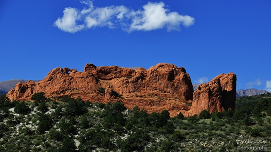Garden_of_the_Gods_Park_Natural_Sculptures_Colorado_Springs_Colorado_USA_Western_USA_Nature_Photography_Canon_EOS_R5_Mark_II_2025_130.JPG