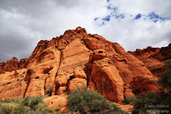 Jenny_Canyon_Trail_Snow_Canyon_State_Park_St_George_Utah_Western_USA_Nature_Photography_Canon_EOS_R5_Mark_II_2025_010.JPG