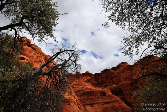 Jenny_Canyon_Trail_Snow_Canyon_State_Park_St_George_Utah_Western_USA_Nature_Photography_Canon_EOS_R5_Mark_II_2025_012.JPG