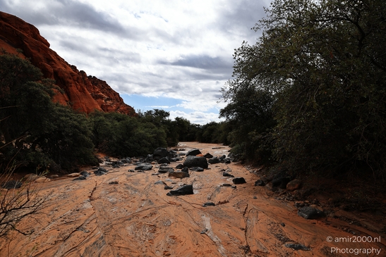 Jenny_Canyon_Trail_Snow_Canyon_State_Park_St_George_Utah_Western_USA_Nature_Photography_Canon_EOS_R5_Mark_II_2025_013.JPG