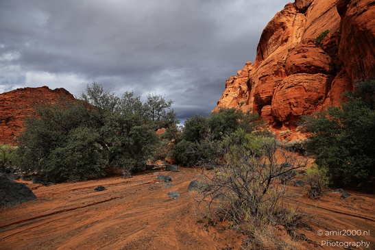 Jenny_Canyon_Trail_Snow_Canyon_State_Park_St_George_Utah_Western_USA_Nature_Photography_Canon_EOS_R5_Mark_II_2025_014.JPG