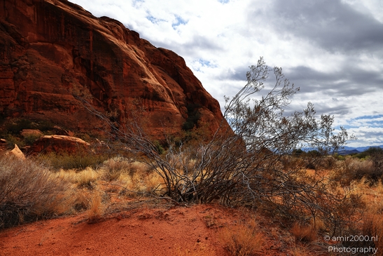Jenny_Canyon_Trail_Snow_Canyon_State_Park_St_George_Utah_Western_USA_Nature_Photography_Canon_EOS_R5_Mark_II_2025_017.JPG