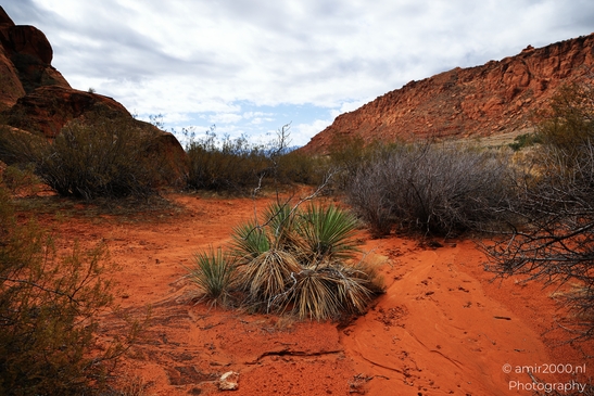 Jenny_Canyon_Trail_Snow_Canyon_State_Park_St_George_Utah_Western_USA_Nature_Photography_Canon_EOS_R5_Mark_II_2025_019.JPG
