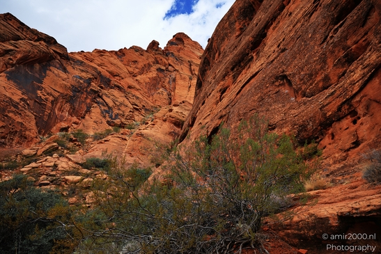 Jenny_Canyon_Trail_Snow_Canyon_State_Park_St_George_Utah_Western_USA_Nature_Photography_Canon_EOS_R5_Mark_II_2025_020.JPG