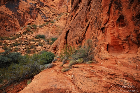 Jenny_Canyon_Trail_Snow_Canyon_State_Park_St_George_Utah_Western_USA_Nature_Photography_Canon_EOS_R5_Mark_II_2025_021.JPG