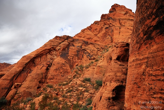 Jenny_Canyon_Trail_Snow_Canyon_State_Park_St_George_Utah_Western_USA_Nature_Photography_Canon_EOS_R5_Mark_II_2025_023.JPG