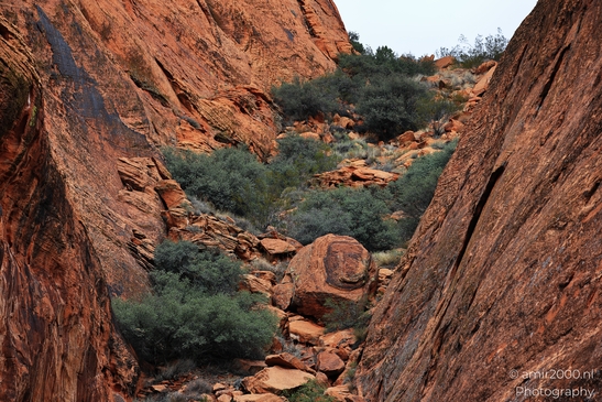 Jenny_Canyon_Trail_Snow_Canyon_State_Park_St_George_Utah_Western_USA_Nature_Photography_Canon_EOS_R5_Mark_II_2025_047.JPG