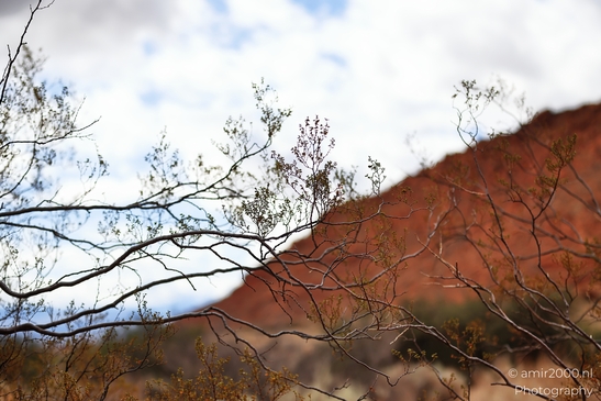Jenny_Canyon_Trail_Snow_Canyon_State_Park_St_George_Utah_Western_USA_Nature_Photography_Canon_EOS_R5_Mark_II_2025_048.JPG